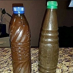 LOWER RESPIRATORY INFECTIONS HERBS  YEAST INFECTION HERBS YEAST INFECTION