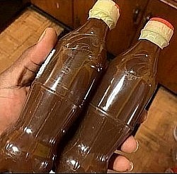 HUMAN PAPILLOMA VIRUS HERBS