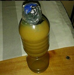 HIV HERBS